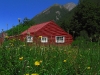 02-arthurs-pass_0.jpg