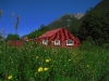 03-arthurs-pass_0.jpg