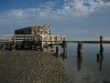 05-the-dock-by-the-bay_0.jpg