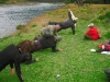 23-yoga-by-the-river.jpg